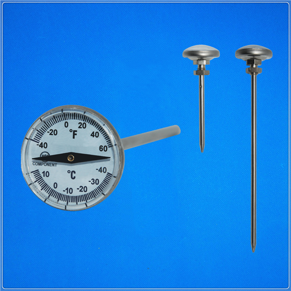 Dual pointer thermometer
